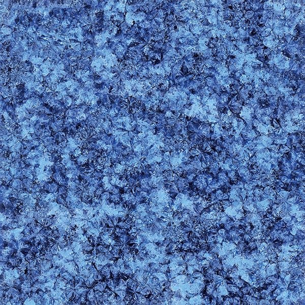 首页-PP视讯厅真人官方网站