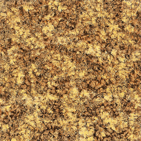 PP视讯2.0厚微晶石：浅金啡KFB88012单片