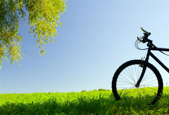 即就是东风十里，依然不如你