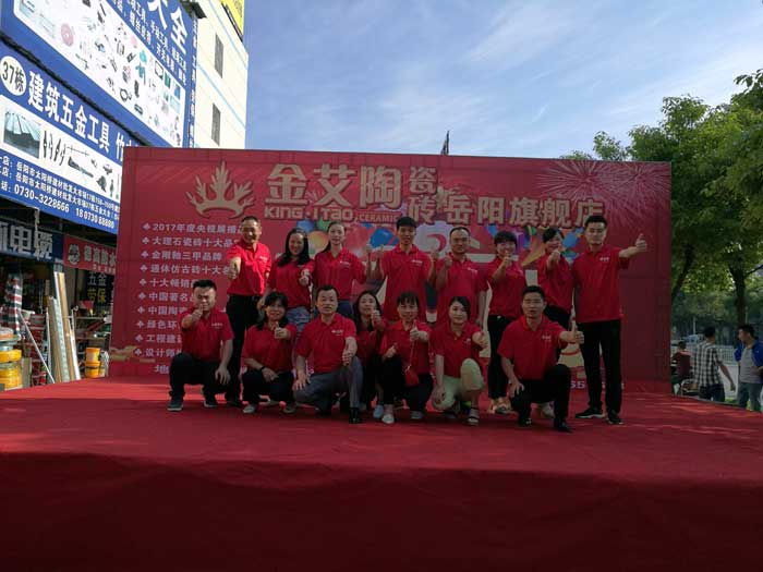 PP视讯瓷砖 瓷砖代理 陶瓷一线品牌