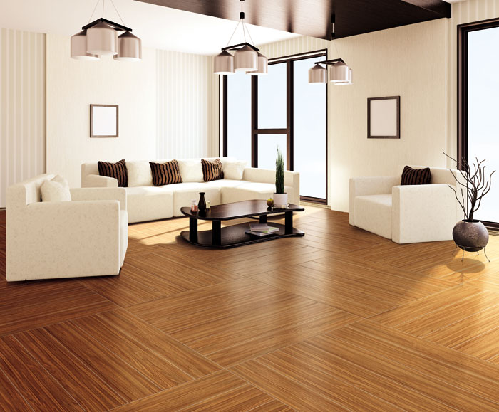 【PP视讯家居风水】开门见客厅好不好？