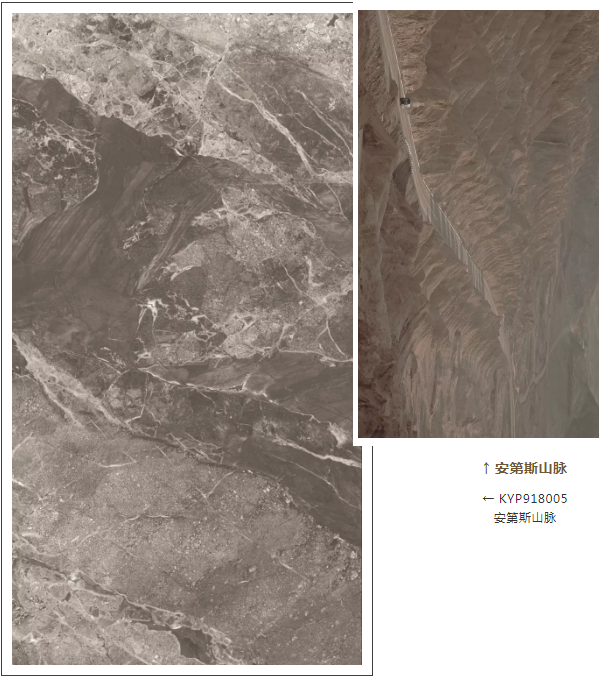 首页-PP视讯厅真人官方网站