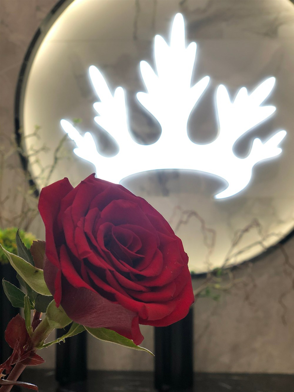 首页-PP视讯厅真人官方网站