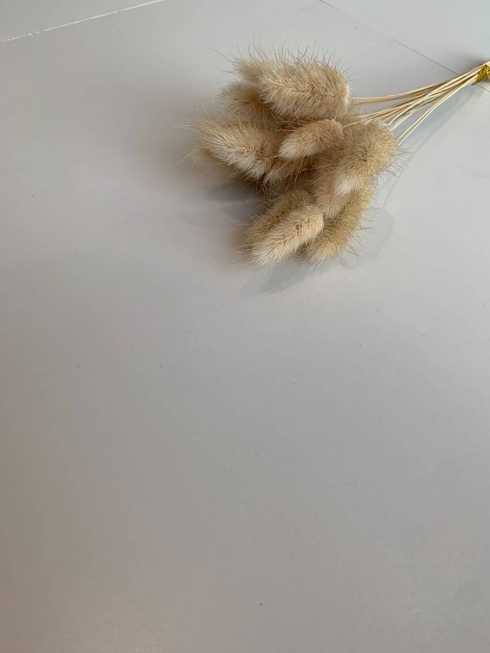 首页-PP视讯厅真人官方网站