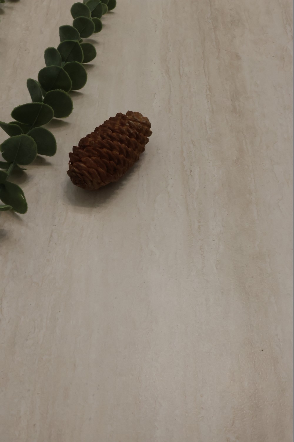 首页-PP视讯厅真人官方网站