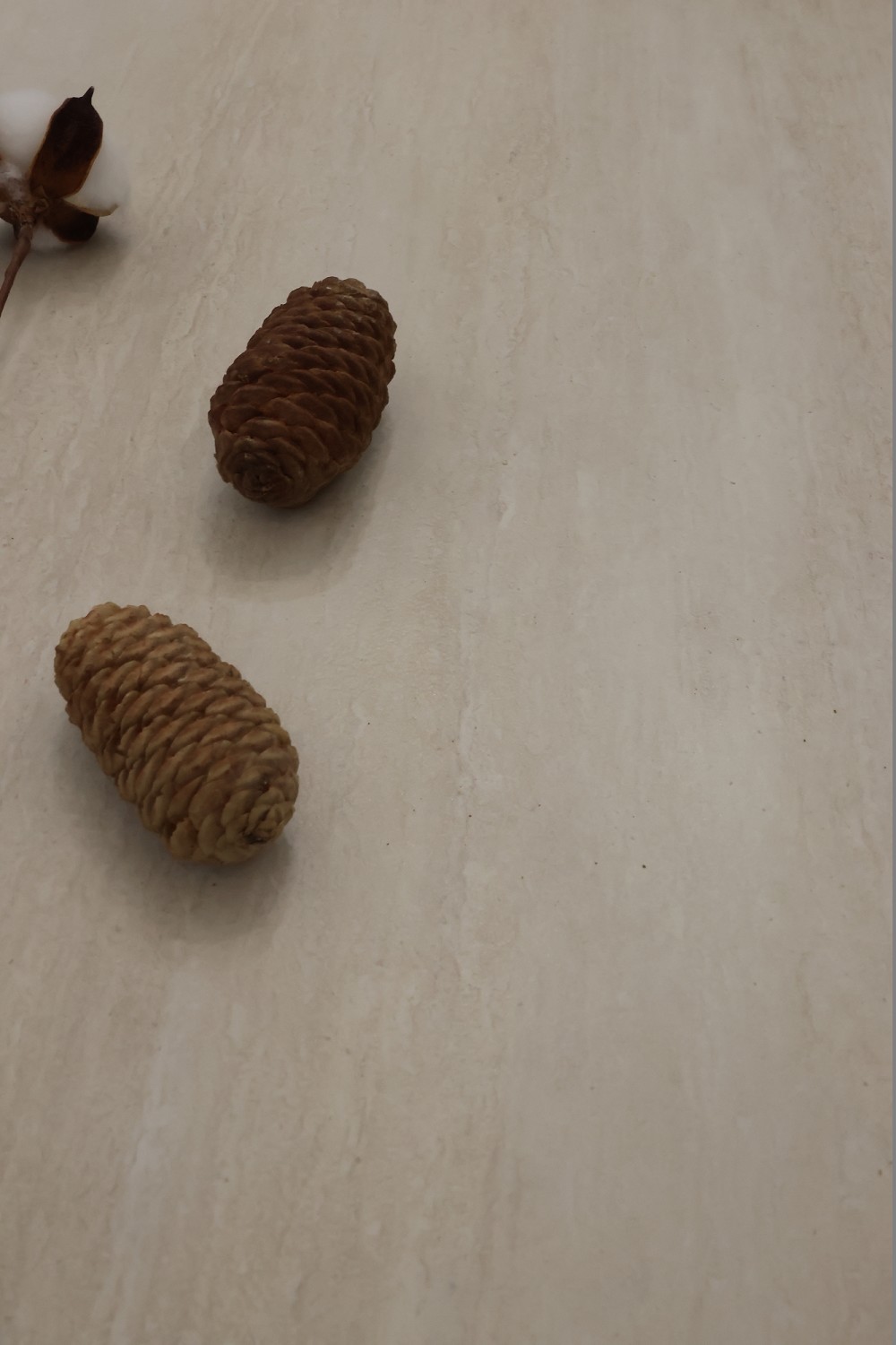 首页-PP视讯厅真人官方网站