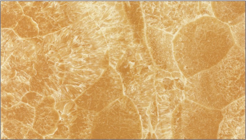 首页-PP视讯厅真人官方网站